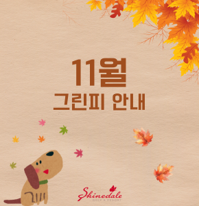 [11월] 그린피안내